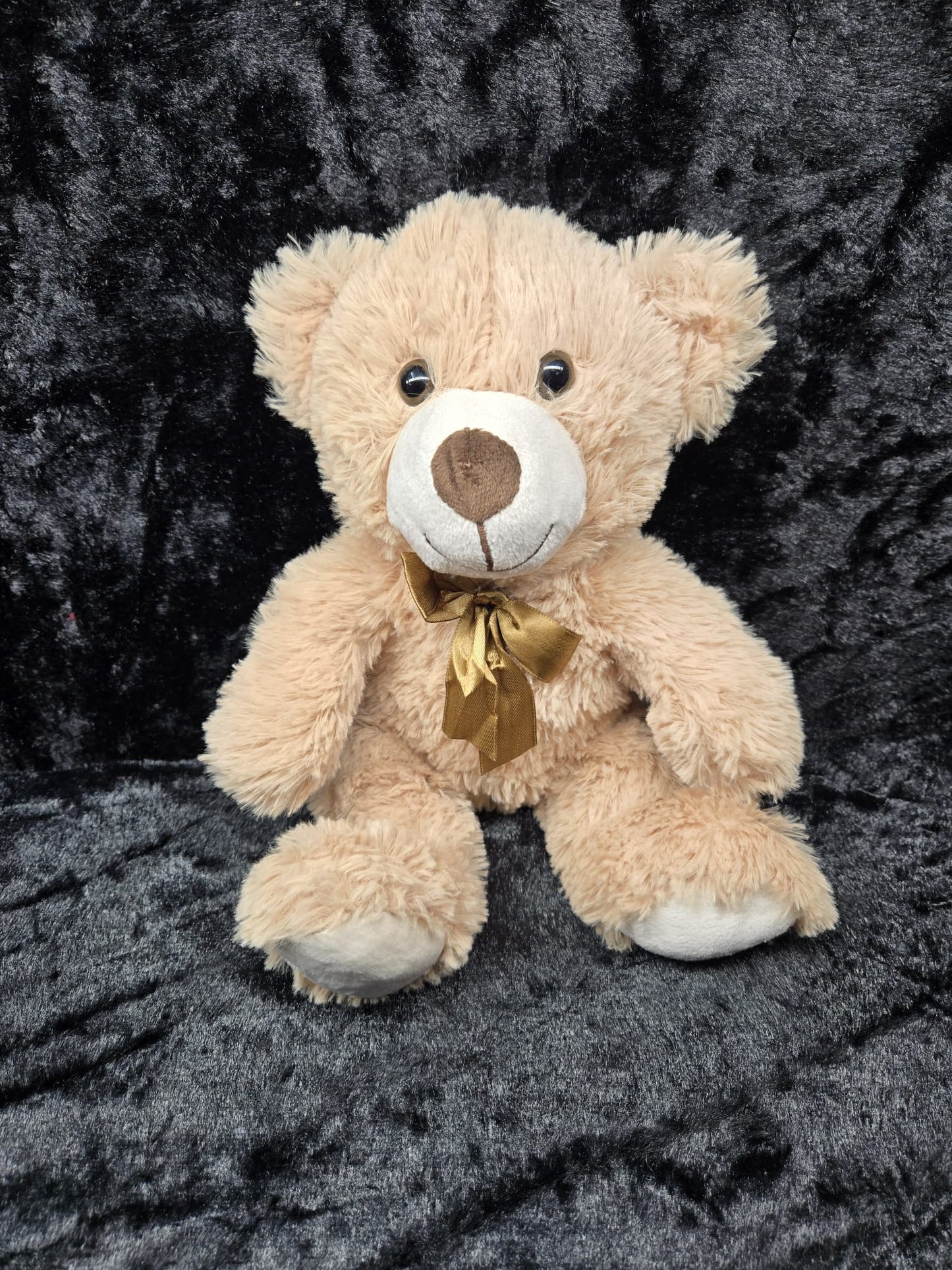 Small Tender Teddy Bear 🧸