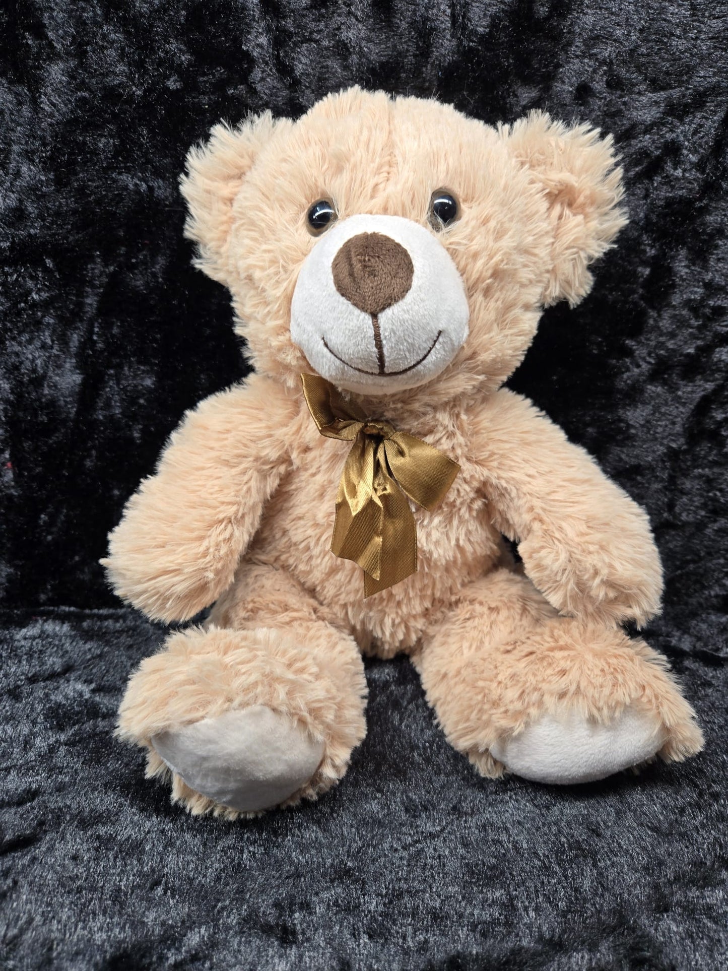 Small Tender Teddy Bear 🧸