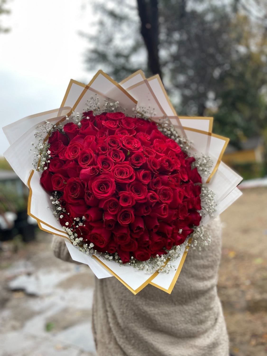 100 Roses Flower Buchon Bouquet